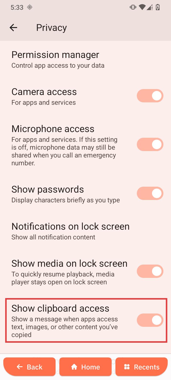 Show clipboard access