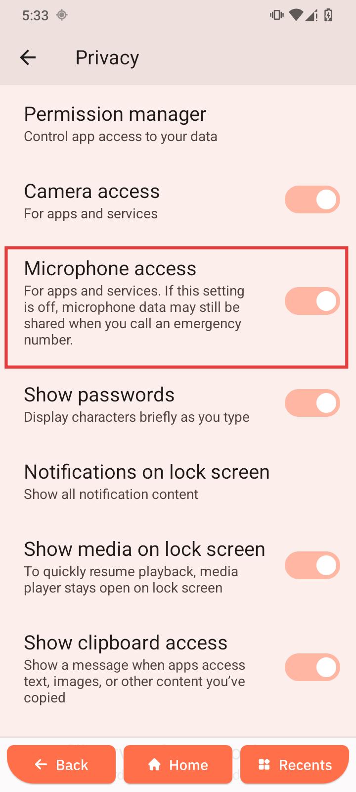 Microphone access