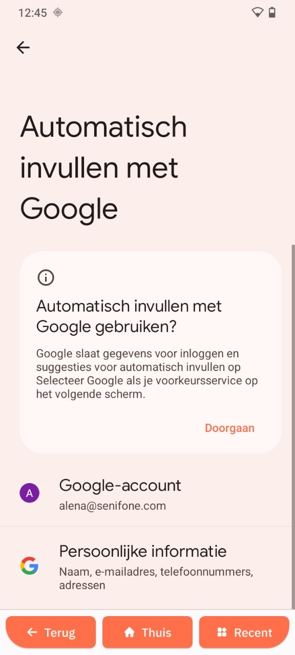 Google-service voor automatisch invullen