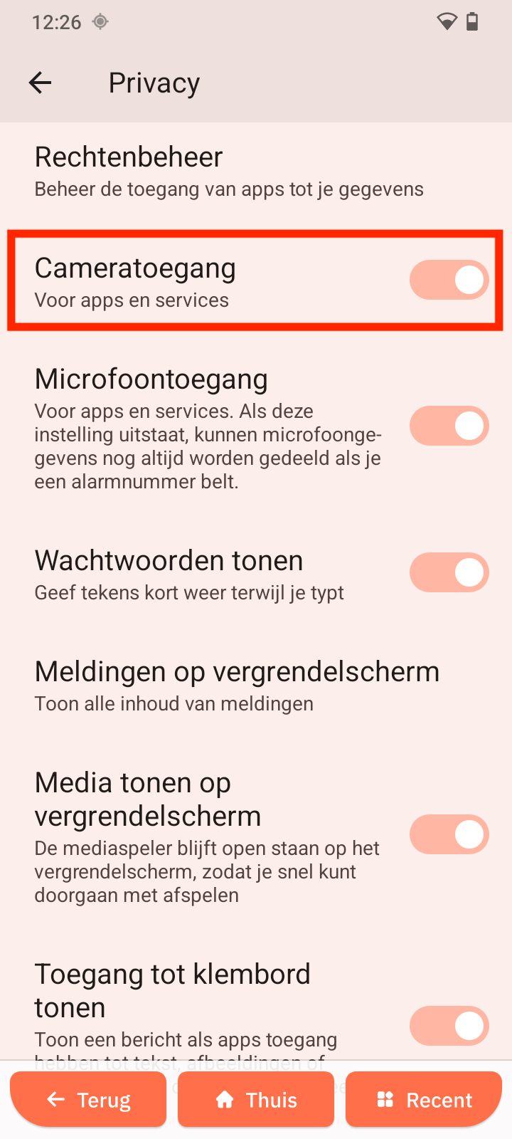 Cameratoegang